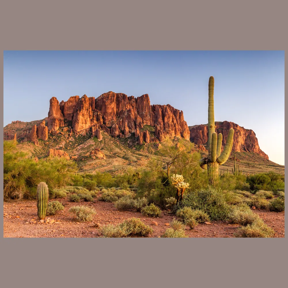 Shotcrete and rebar service in Green Valley, Arizona
