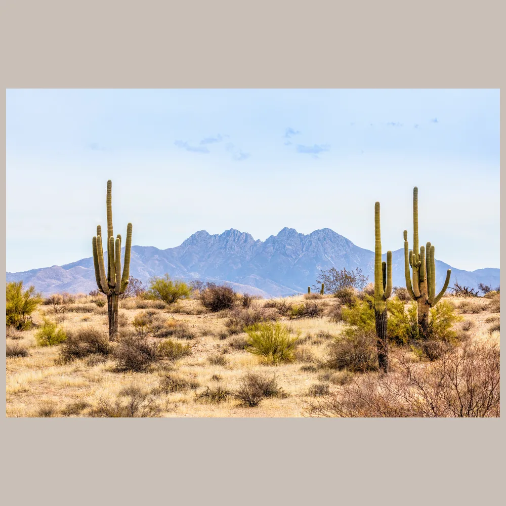 Shotcrete and rebar service in Three Points, Arizona
